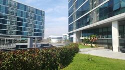 Oxley Bizhub (D14), Factory #486331411